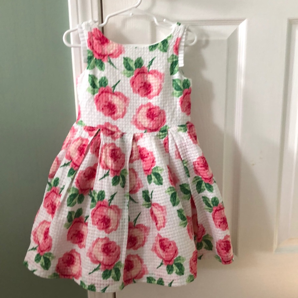 Janie and Jack Pink Spring Floral Tulle Dress  3T